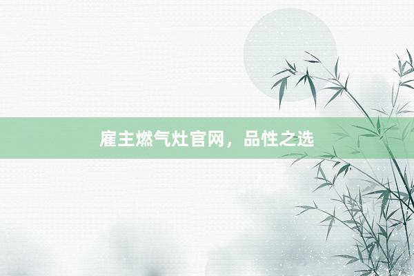 雇主燃气灶官网，品性之选