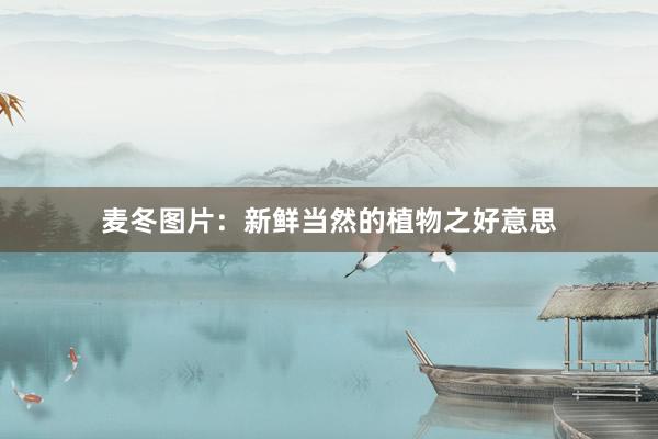 麦冬图片：新鲜当然的植物之好意思