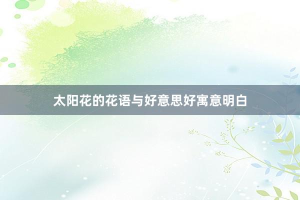 太阳花的花语与好意思好寓意明白