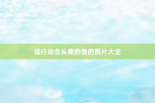 适行动念头像的鱼的图片大全