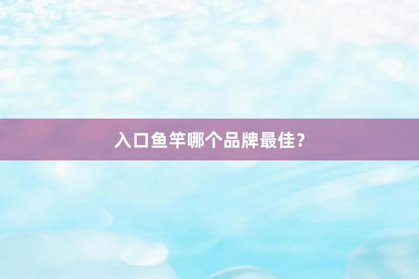 入口鱼竿哪个品牌最佳？