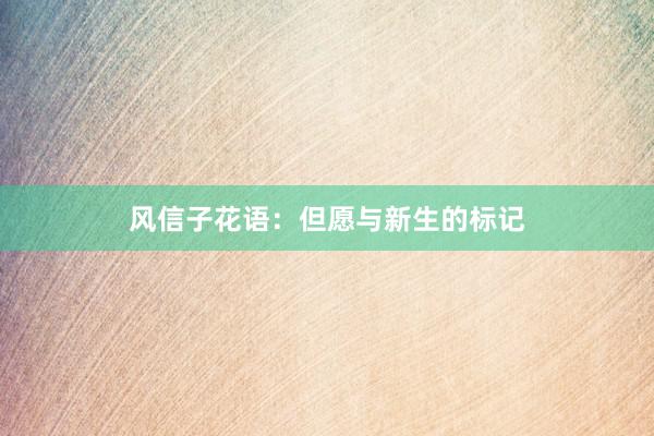 风信子花语：但愿与新生的标记