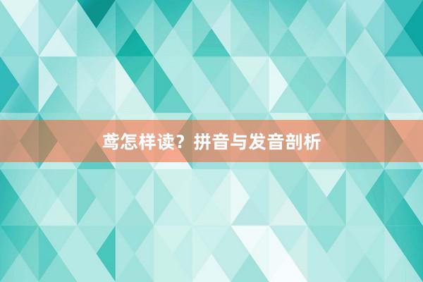 鸢怎样读？拼音与发音剖析